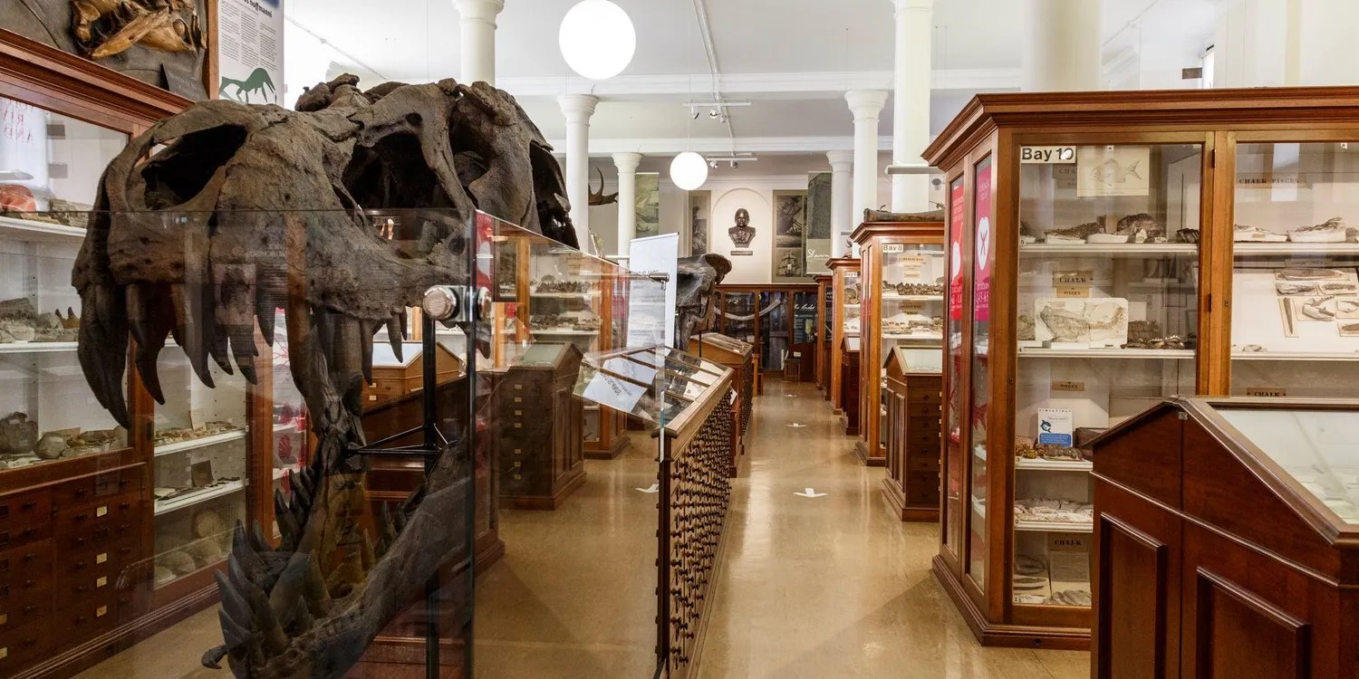 Sedgwick Museum of Earth Sciences, Cambridge 