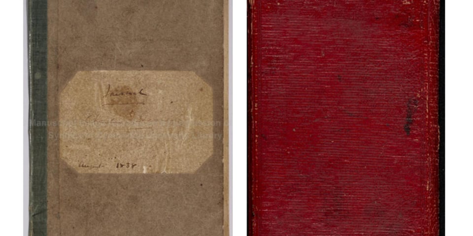 Darwin's diaries